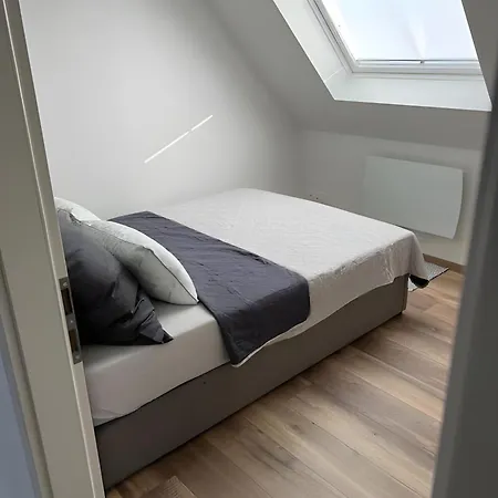 Le Quartier Blackforest-strassburg Willstätt