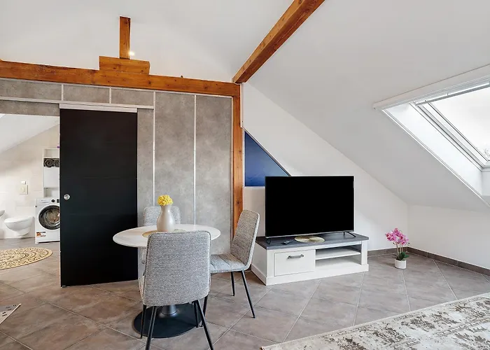 Le Quartier Blackforest-strassburg Дом отдыха *